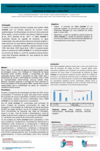 Poster 2_Fernando Nhanssengo2