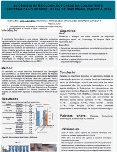 Poster- João Alexandre