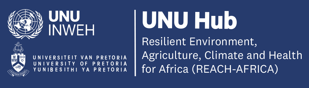 UNU Hub on REACH-AFRICA at UP