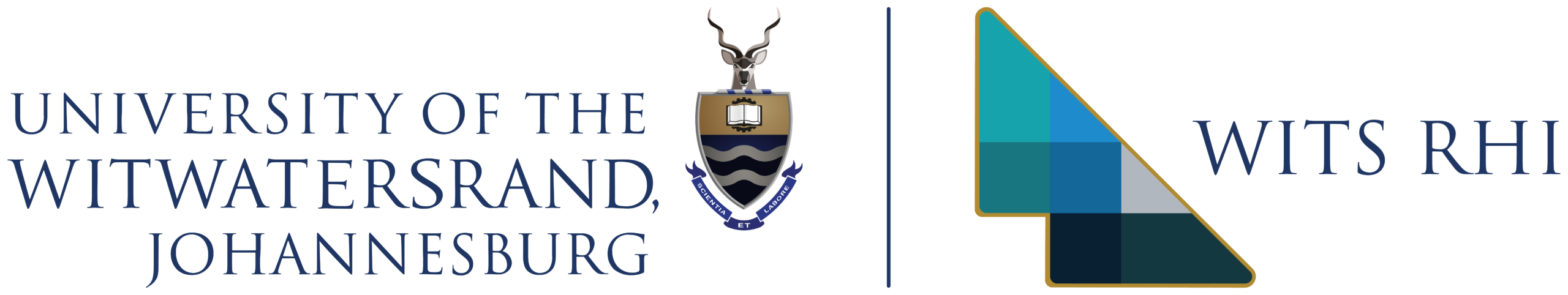 Wits University Primary Logo
