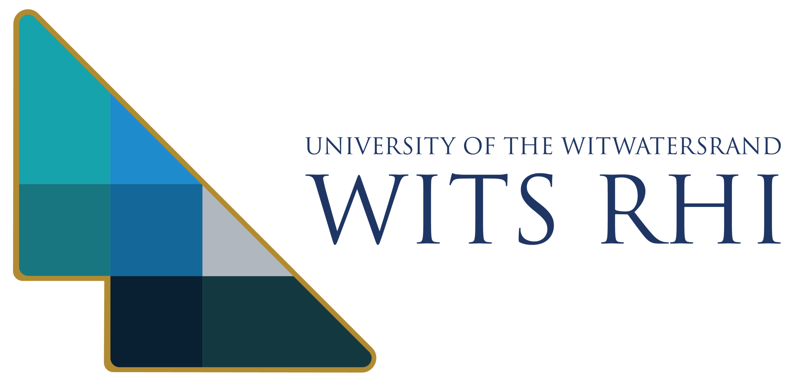 Wits University Secondary Logo